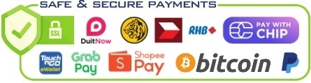 chip payment