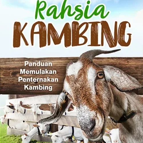 cara mulakan bisnes ternak kambing