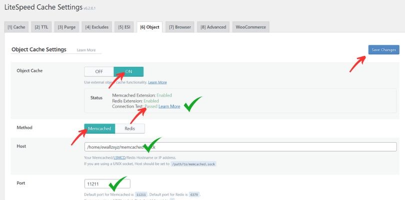 memcache litespeed settings